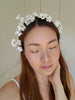 Sakura Crown